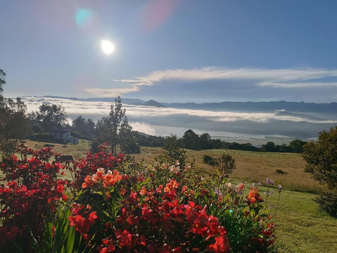 Glamping Hermoso Amanecer Guatavita Exteriör bild