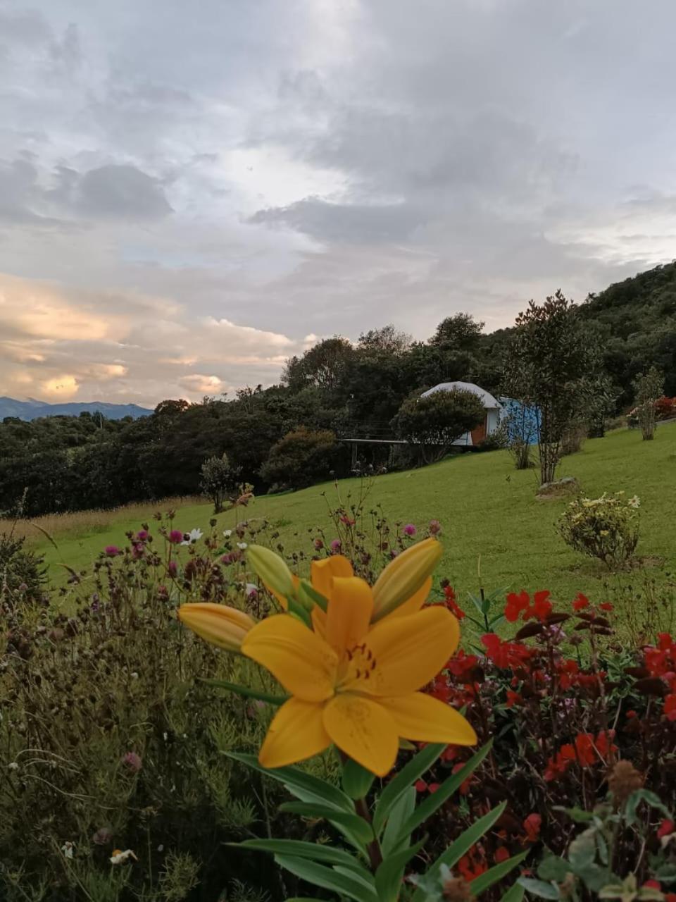 Glamping Hermoso Amanecer Guatavita Exteriör bild